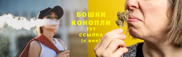 гашиш Богданович