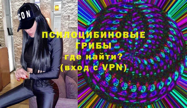 гашиш Богданович