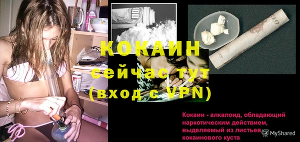 дмт Богородск
