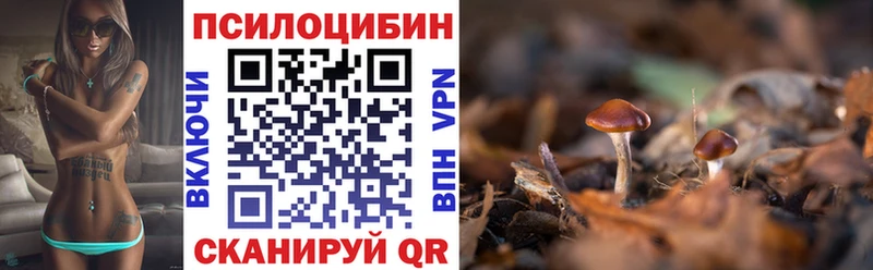 Псилоцибиновые грибы мицелий  Белоусово 